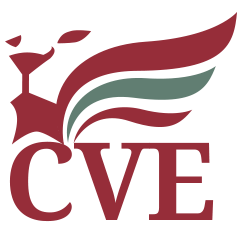 COSTRUZIONI VENETE Engineers 